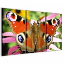 Quadro Poster Tela Butterfly II 100x70 - 1