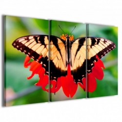 Quadro Poster Tela Butterfly 100x70