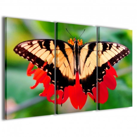 Quadro Poster Tela Butterfly 100x70 - 1