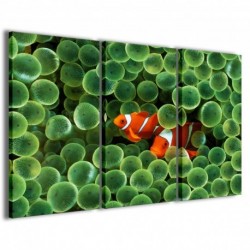 Quadro Poster Tela Clownfish Anemone 100x70 - 1