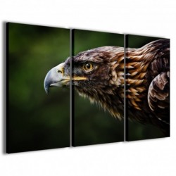 Quadro Poster Tela Eagle III 100x70 - 1