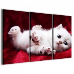 Quadro Poster Tela Kitty 100x70 - 1