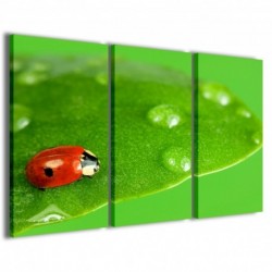 Quadro Poster Tela Ladybug in Green 100x70 - 1