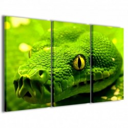Quadro Poster Tela Snake Green II 100x70 - 1