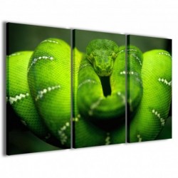 Quadro Poster Tela Snake Piton 100x70