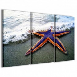 Quadro Poster Tela Starfish II 100x70