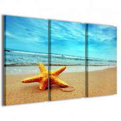 Quadro Poster Tela Starfish 100x70