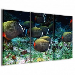 Quadro Poster Tela Tropical Fish 100x70 - 1