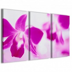 Quadro Poster Tela Abstract Flower 100x70