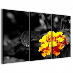 Quadro Poster Tela Black Color Flower 100x70 - 1