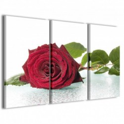 Quadro Poster Tela Blown Rose 100x70