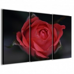 Quadro Poster Tela Bouche Rose 100x70 - 1