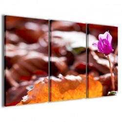 Quadro Poster Tela Cyclamen Flowers 100x70