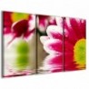 Quadro Poster Tela Magic Flower 100x70 - 1