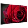 Quadro Poster Tela Red Rose II 100x70 - 1