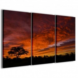 Quadro Poster Tela African Sunset 100x70