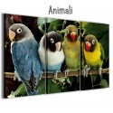 Quadri 120x90 Animali