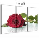 Quadri 120x90 Floreali